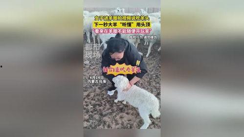 羊圈真实爆料视频下载,真实事件背后的惊人内幕 第3张 羊圈真实爆料视频下载,真实事件背后的惊人内幕 第3张